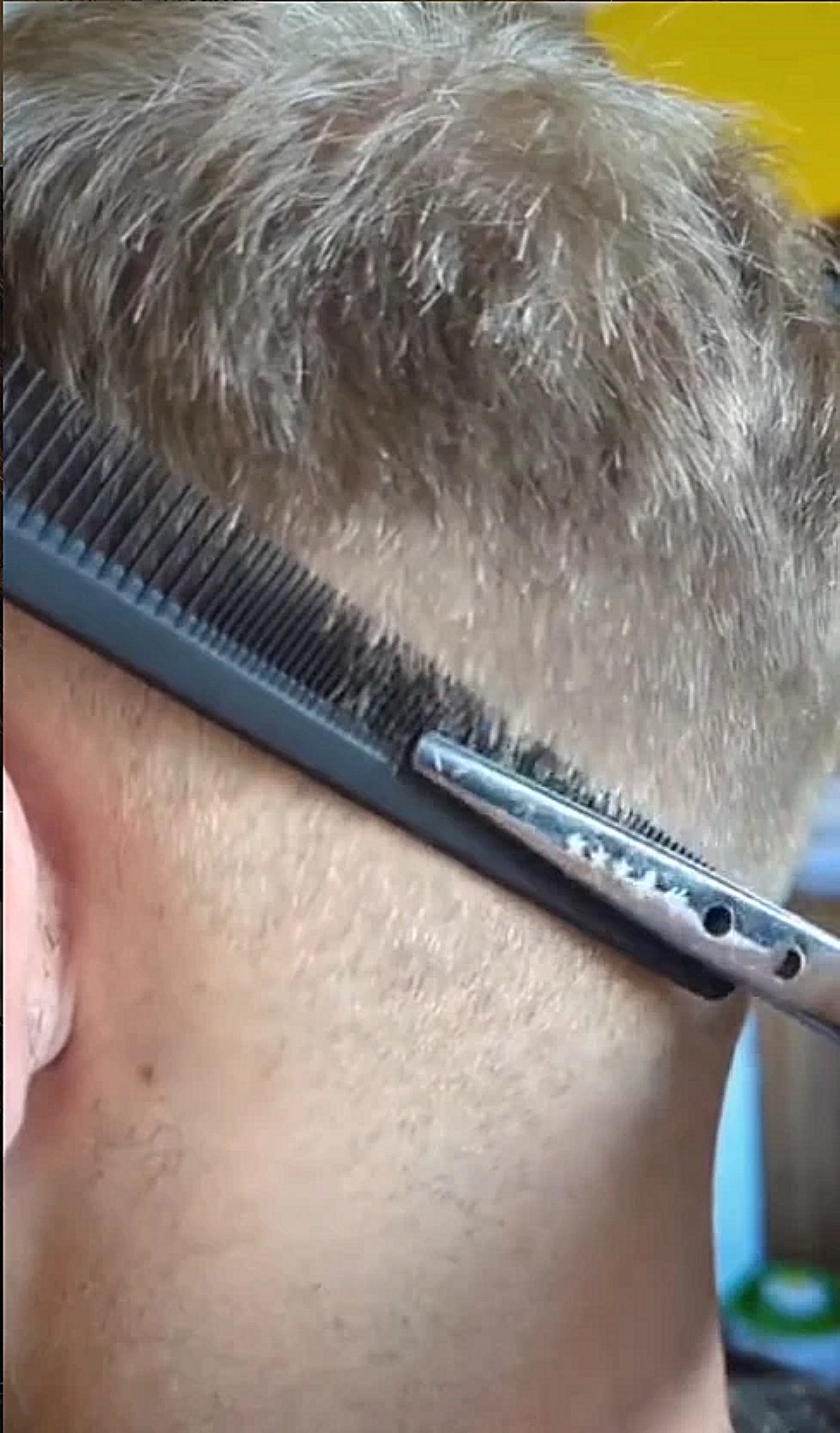 Coupe à domicile aux ciseaux et au peigne : travail précis du dégradé sur la nuque